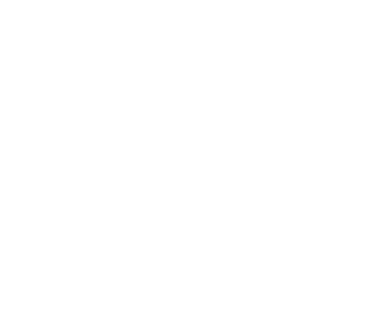 Fiat Professional